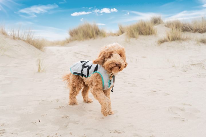 suitical-dry-cooling-vest-beach-outside