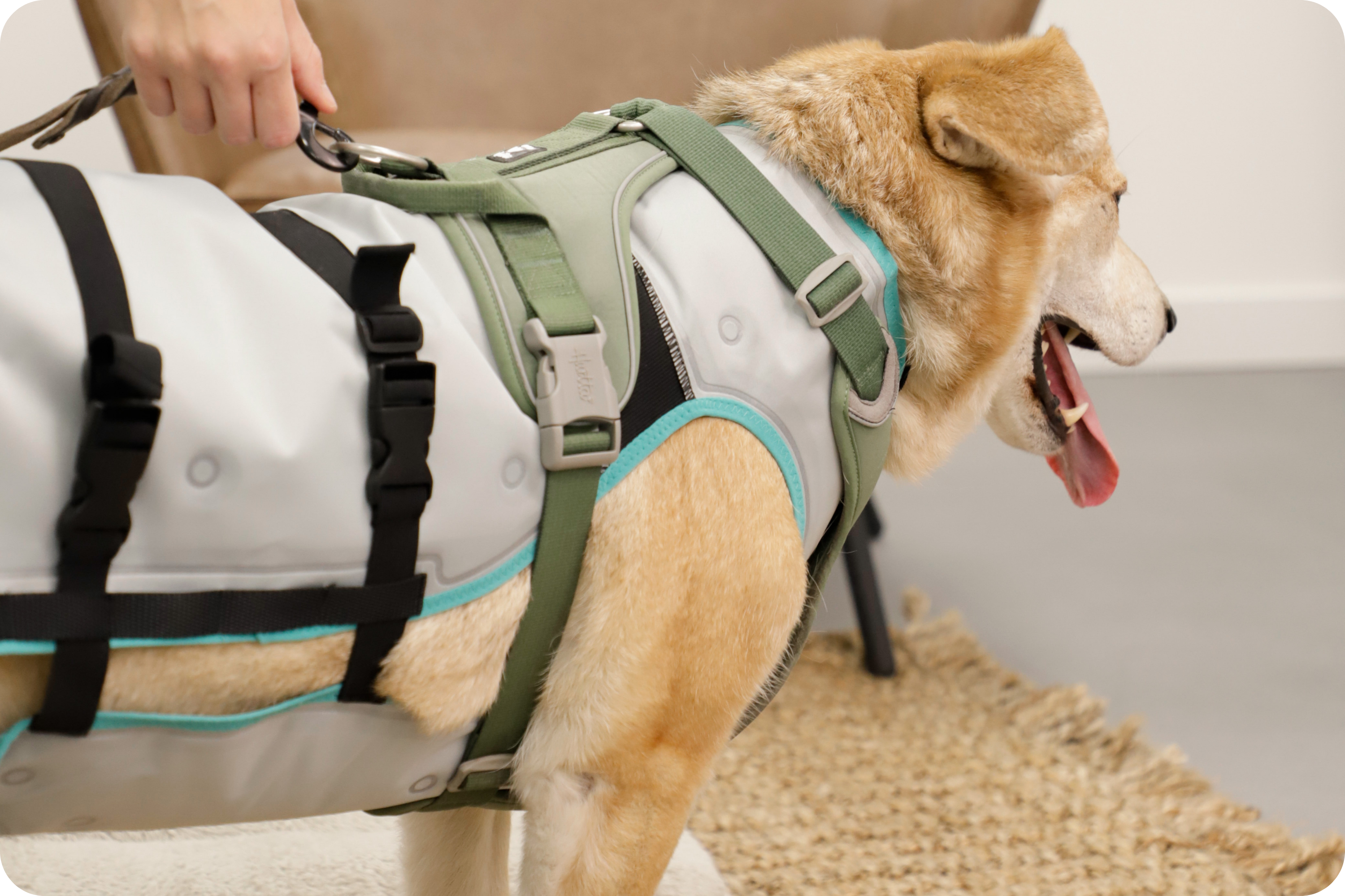 suitical-dry-cooling-vest-dog-harness