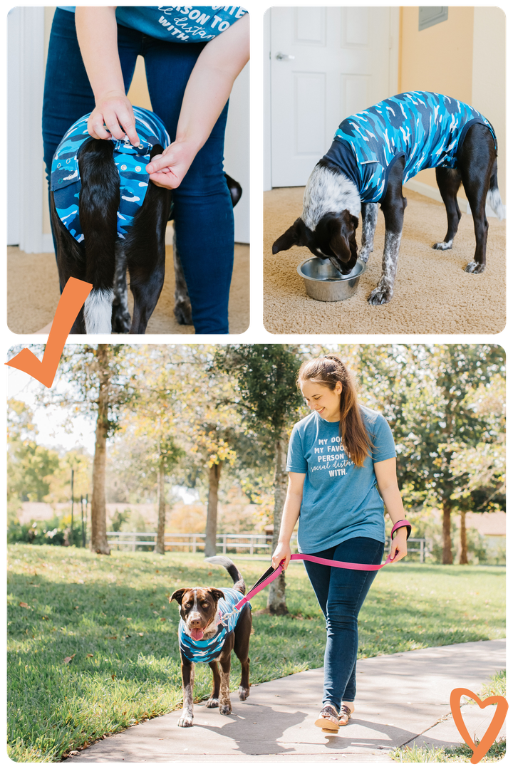 suitical-recovery-suit-dog-camo-blue-walk-outside