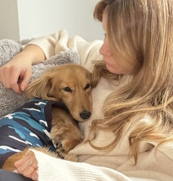 The first 24 hours after your dog, cat or rabbit’s surgery