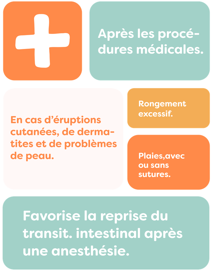 Colorful infographic in French with text on medical procedures, skin issues, wound care, and intestinal transit post-anesthesia.