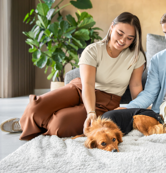 Suitical 2.0: Un animal heureux, une vie heureuse