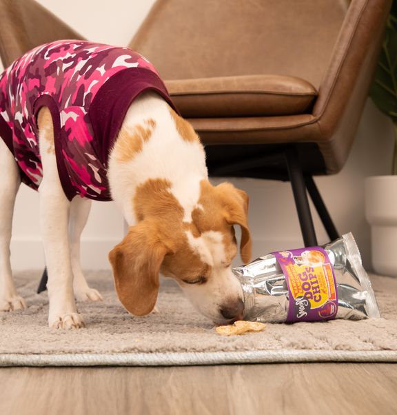 Smoofl Dog Chips a low calorie, natural reward