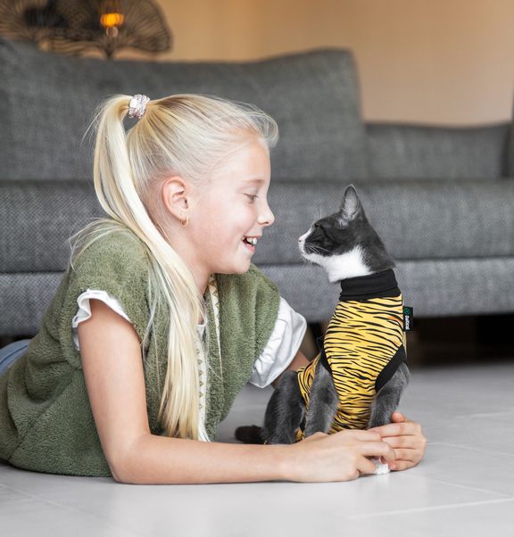 How to prepare for your new kitten