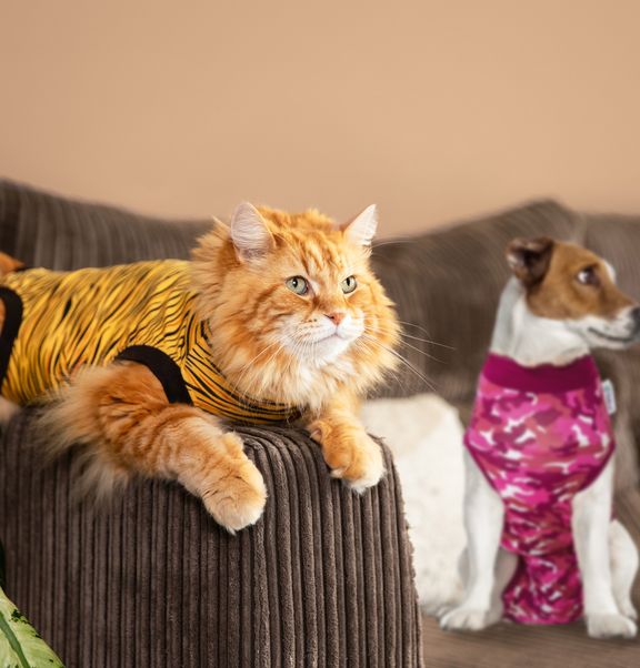 Comfortable recovery for every type of dog and cat