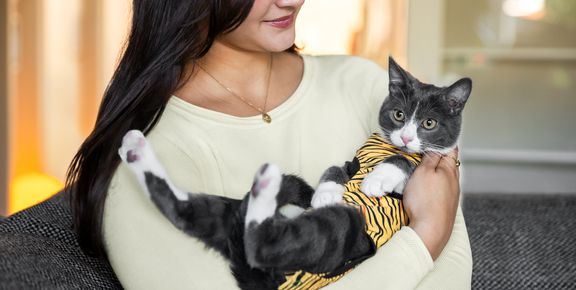 Katze gewöhnt sich an den Recovery Suit