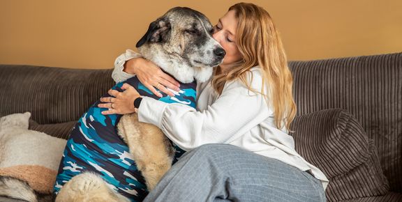 Soins (post-opératoires) pour les chiens et chats âgés