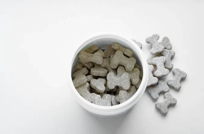 Open container of bone-shaped dog treats on a white surface, with several treats scattered nearby.