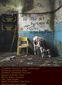 Bir Et Parçası Gibi Hissediyorum film posteri