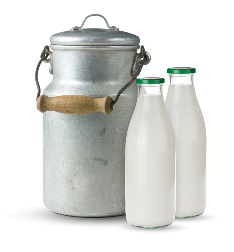 Real Cheese, Done Right