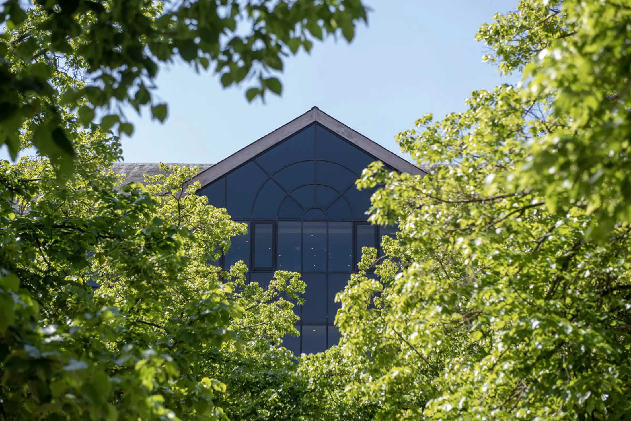 Gabled window between lush green trees