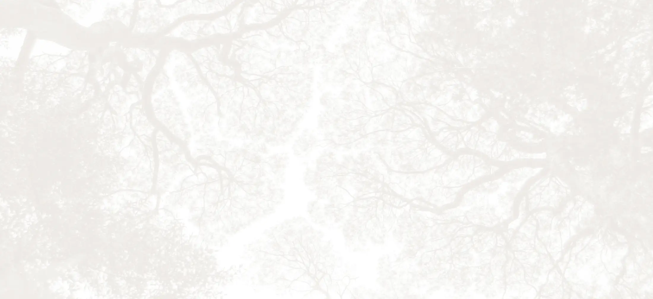 Marble effect grey background