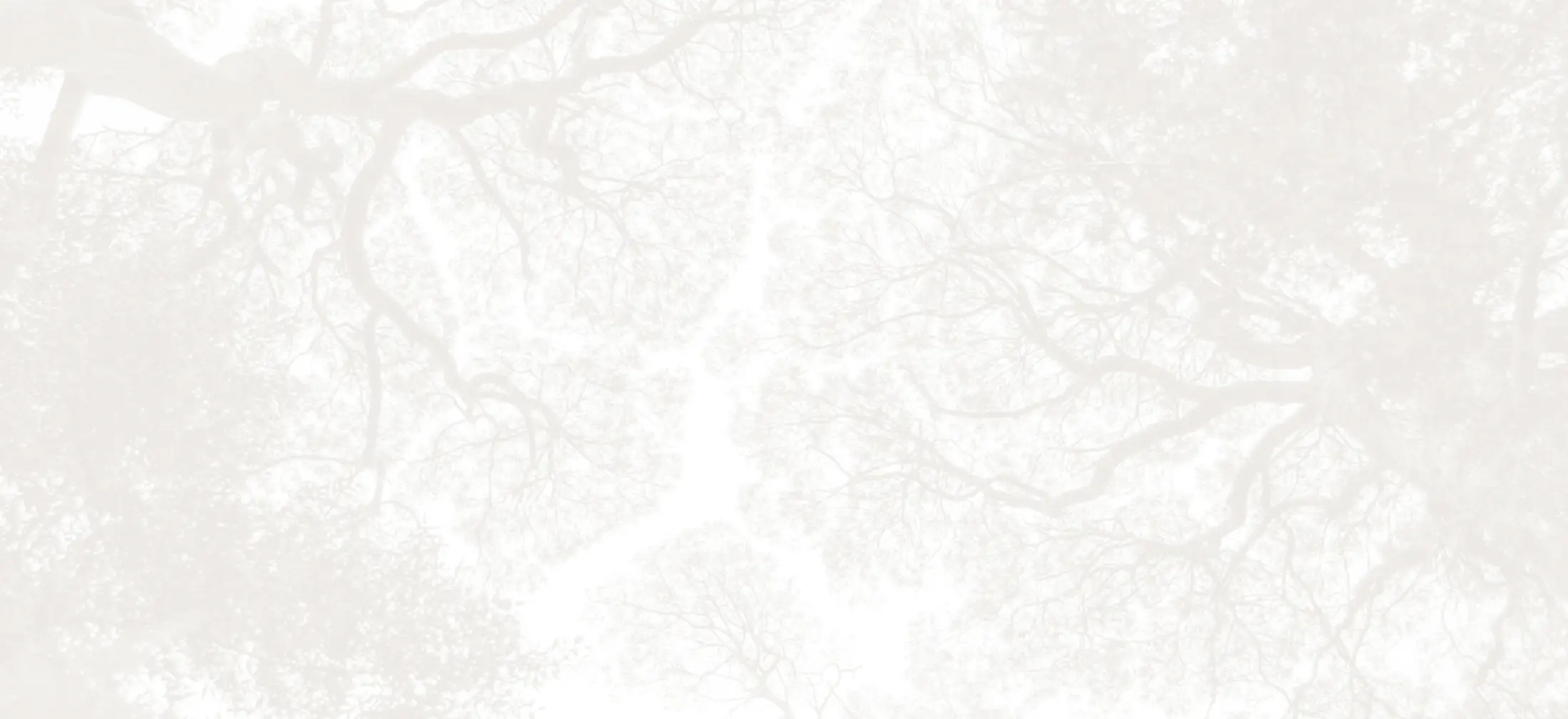 Marble effect grey background