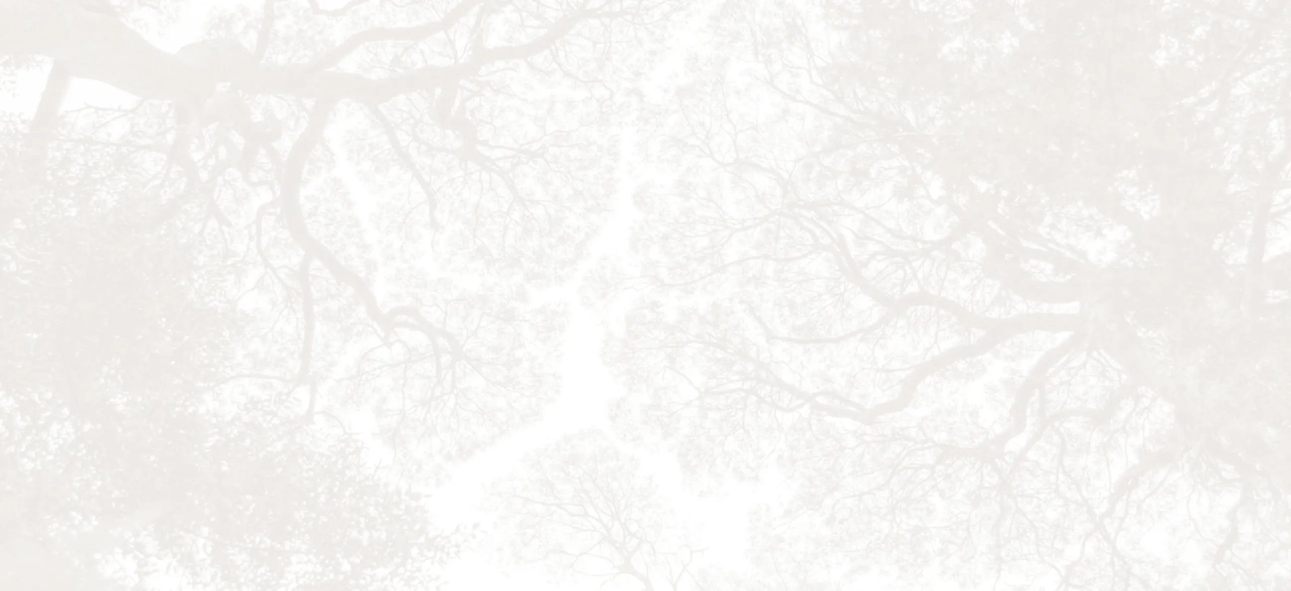 Marble effect grey background