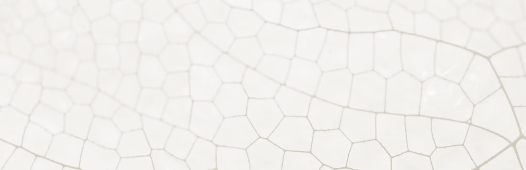 Leaf pattern zoomed in