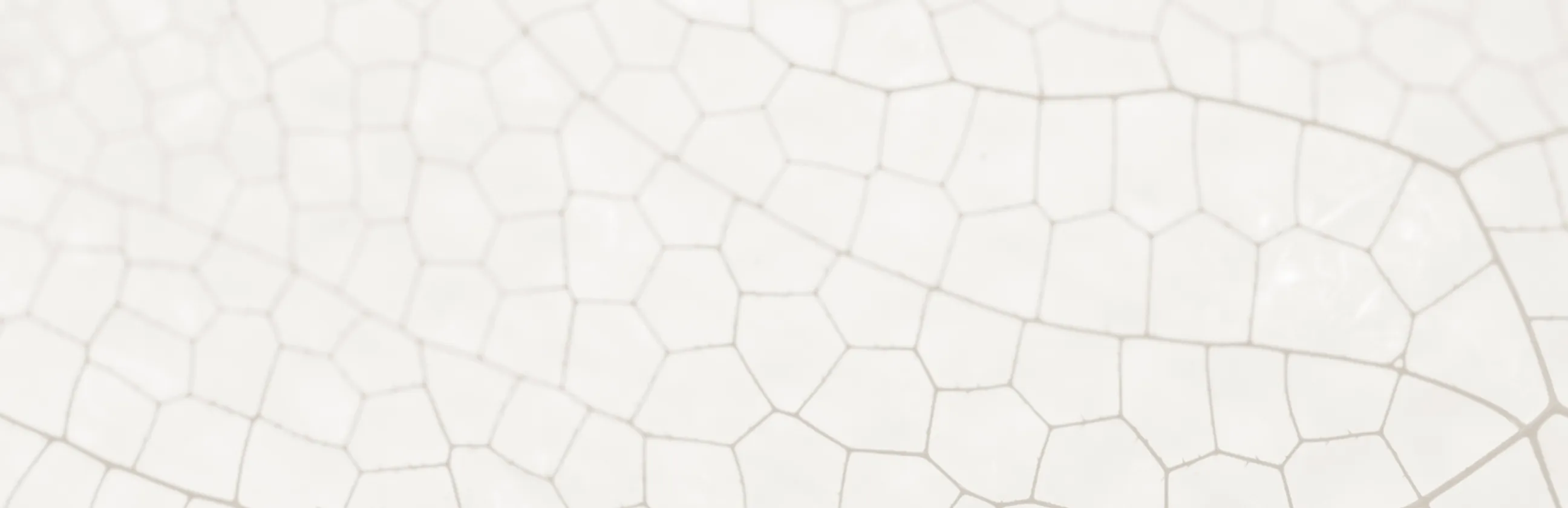Leaf pattern zoomed in
