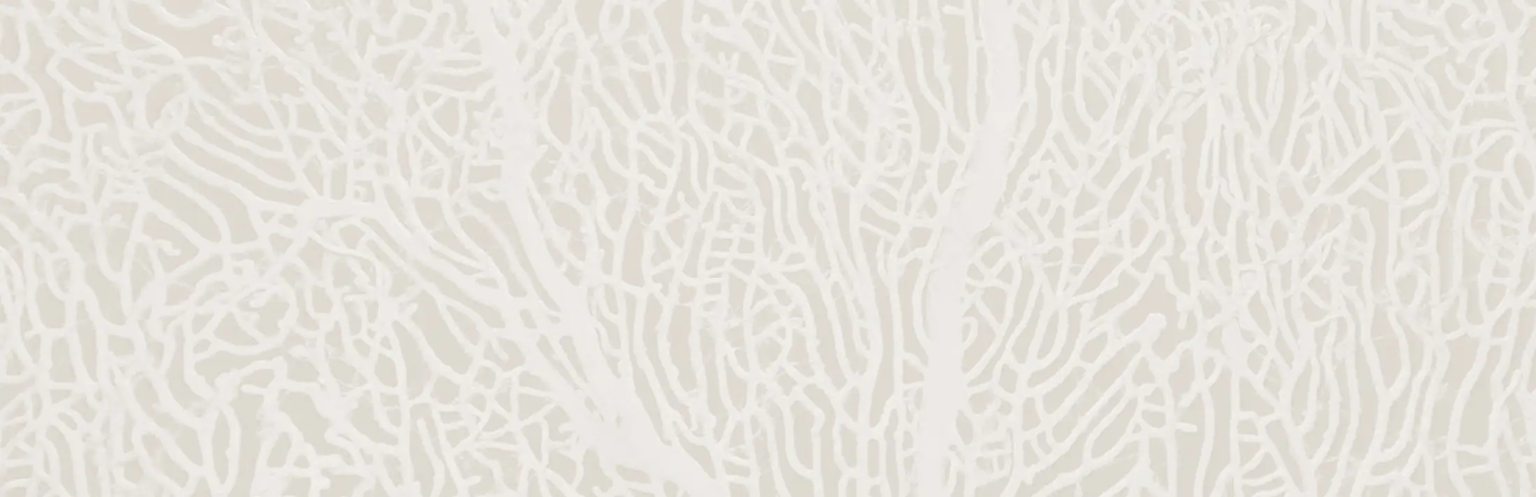 Zoomed in coral