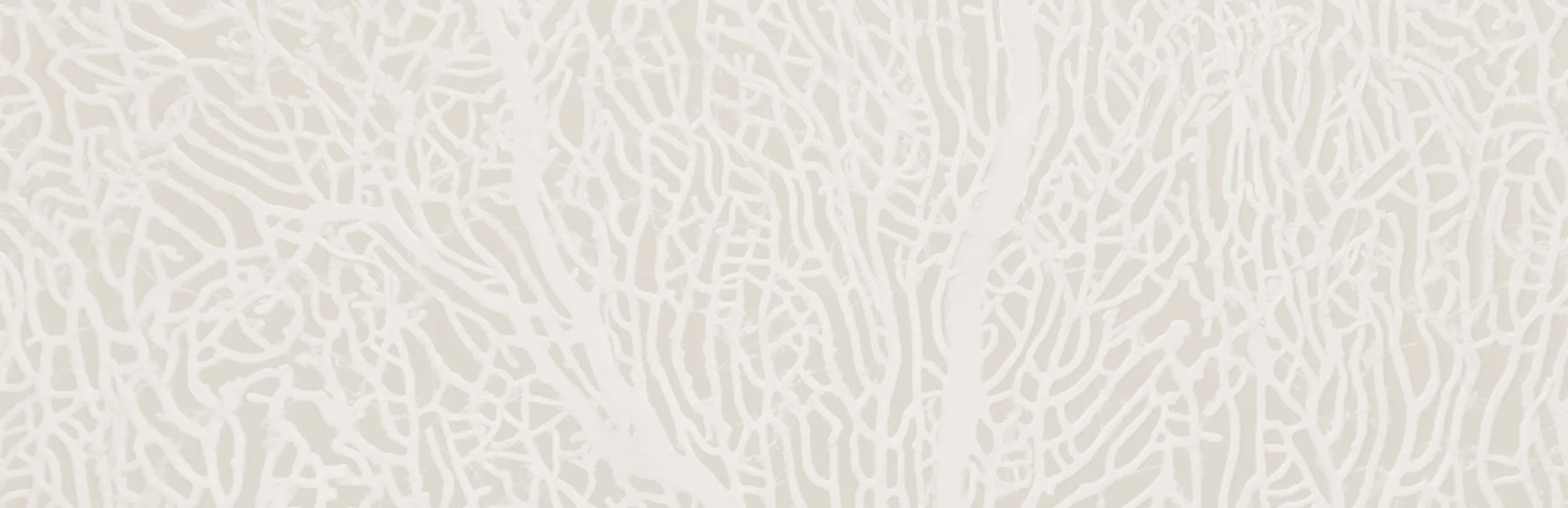 Zoomed in coral