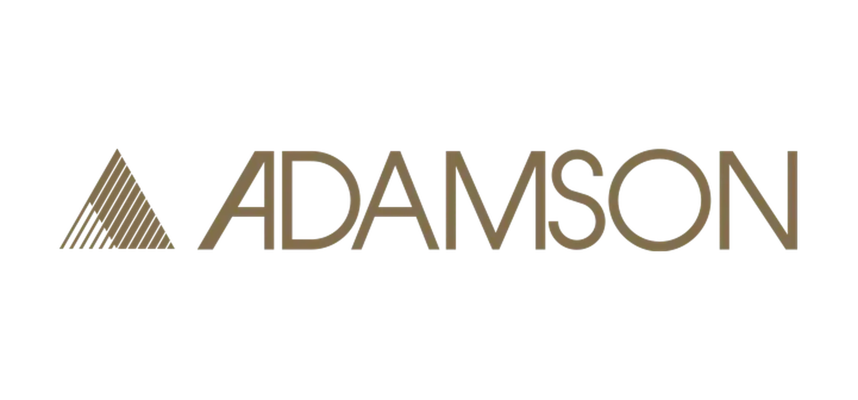 Logo displaying the word "ADAMSON" in bold, stylized lettering with a small triangular icon on the left.