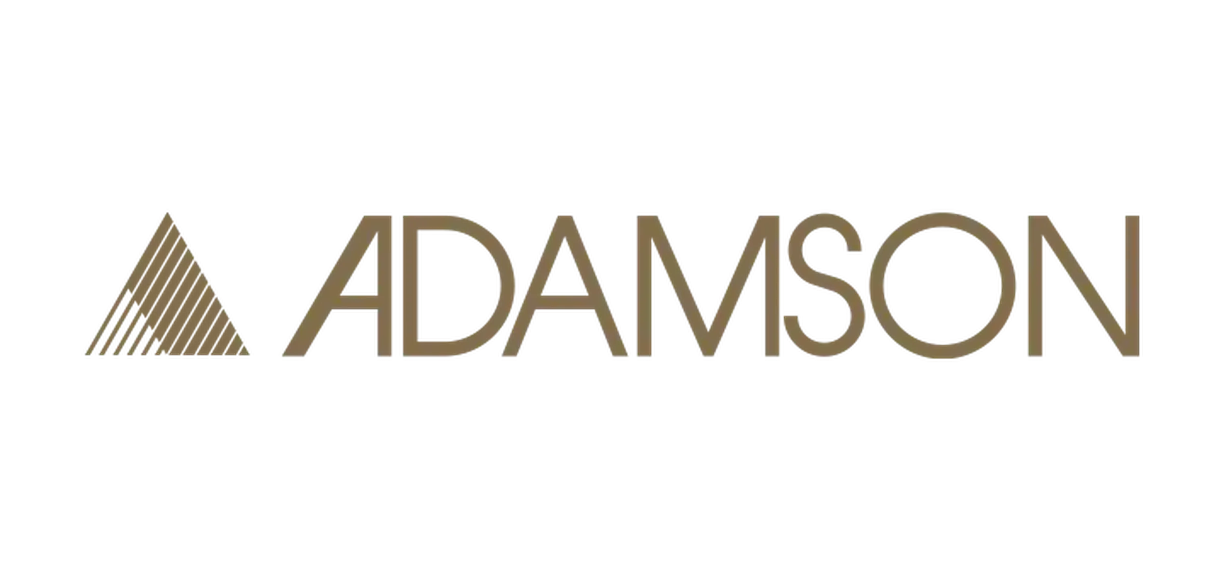 Logo displaying the word "ADAMSON" in bold, stylized lettering with a small triangular icon on the left.