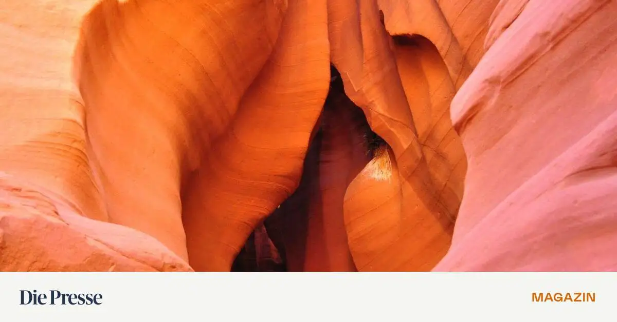 Die Vulva wird salonfähig