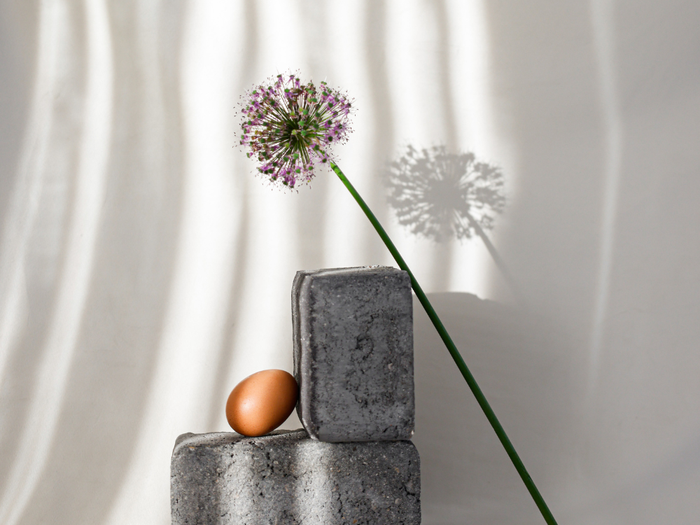 flower and eggs on concrete