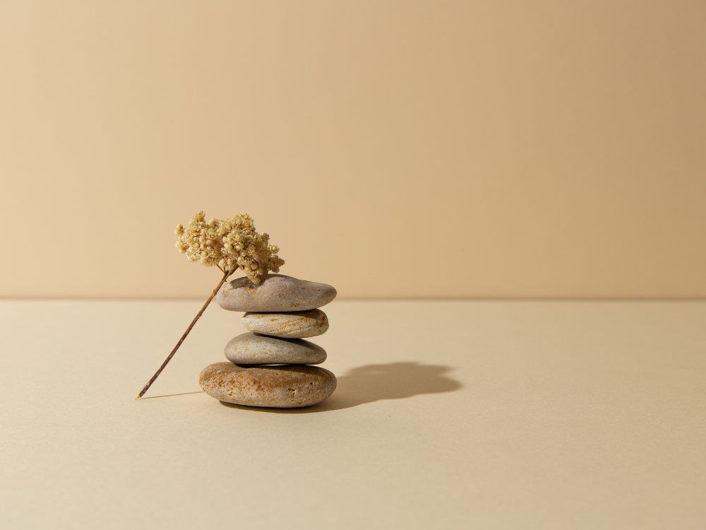 stacked rocks and flower