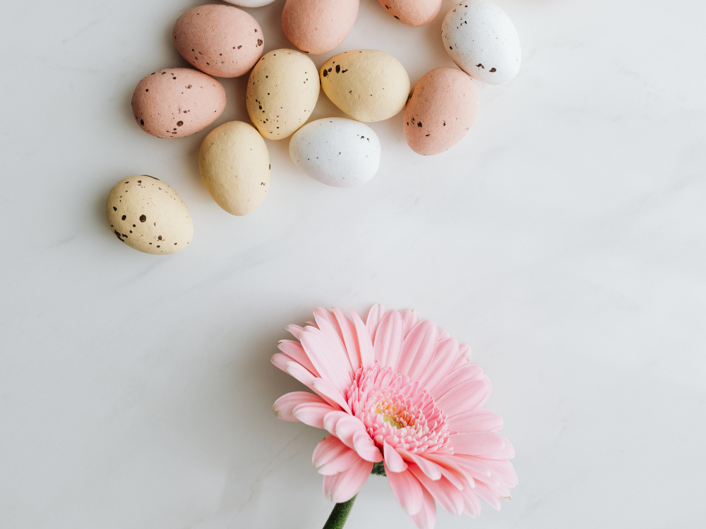 speckled eggs and daisy