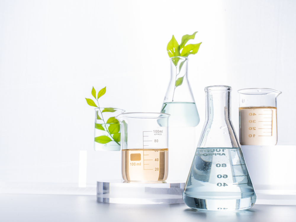 beakers and plants