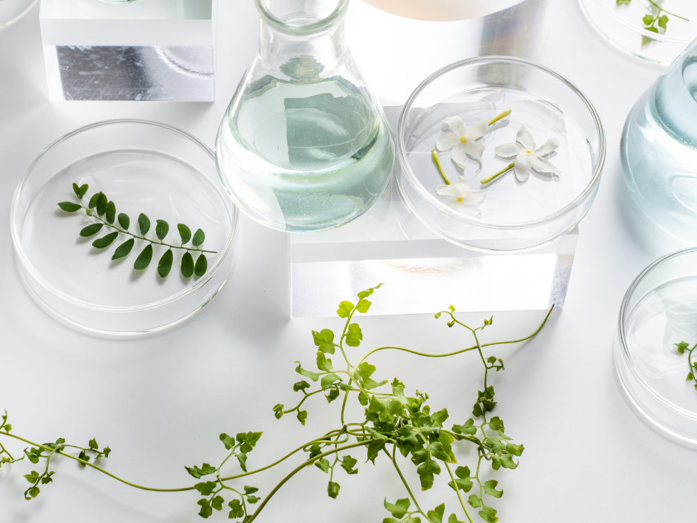beakers and plants
