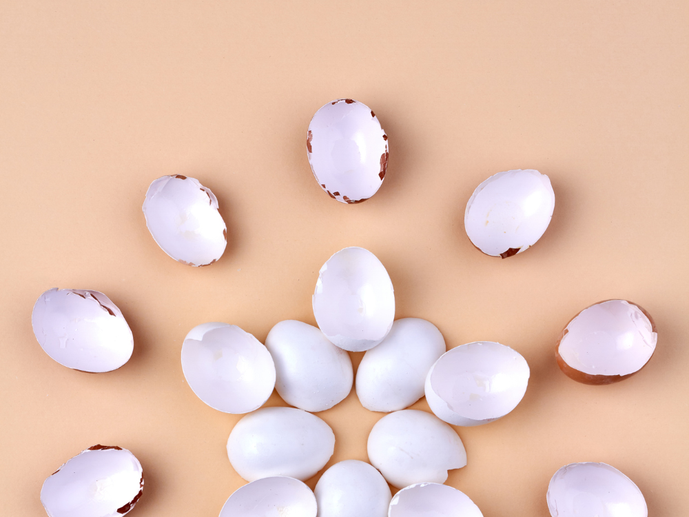 eggshells