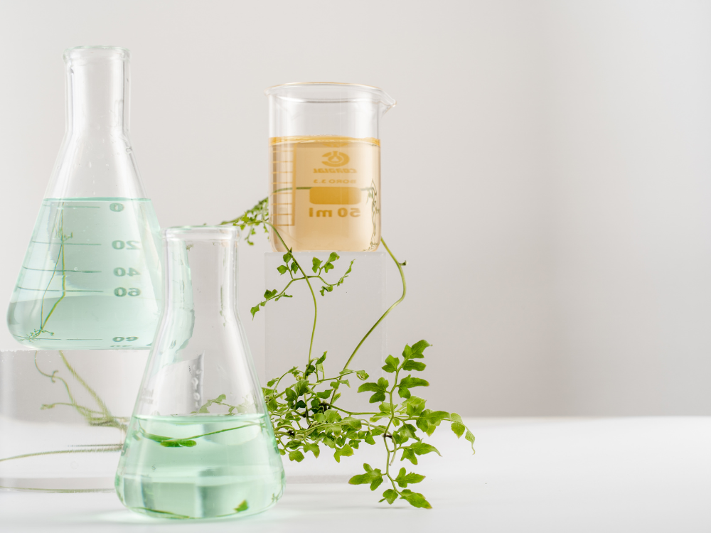 beakers and plants
