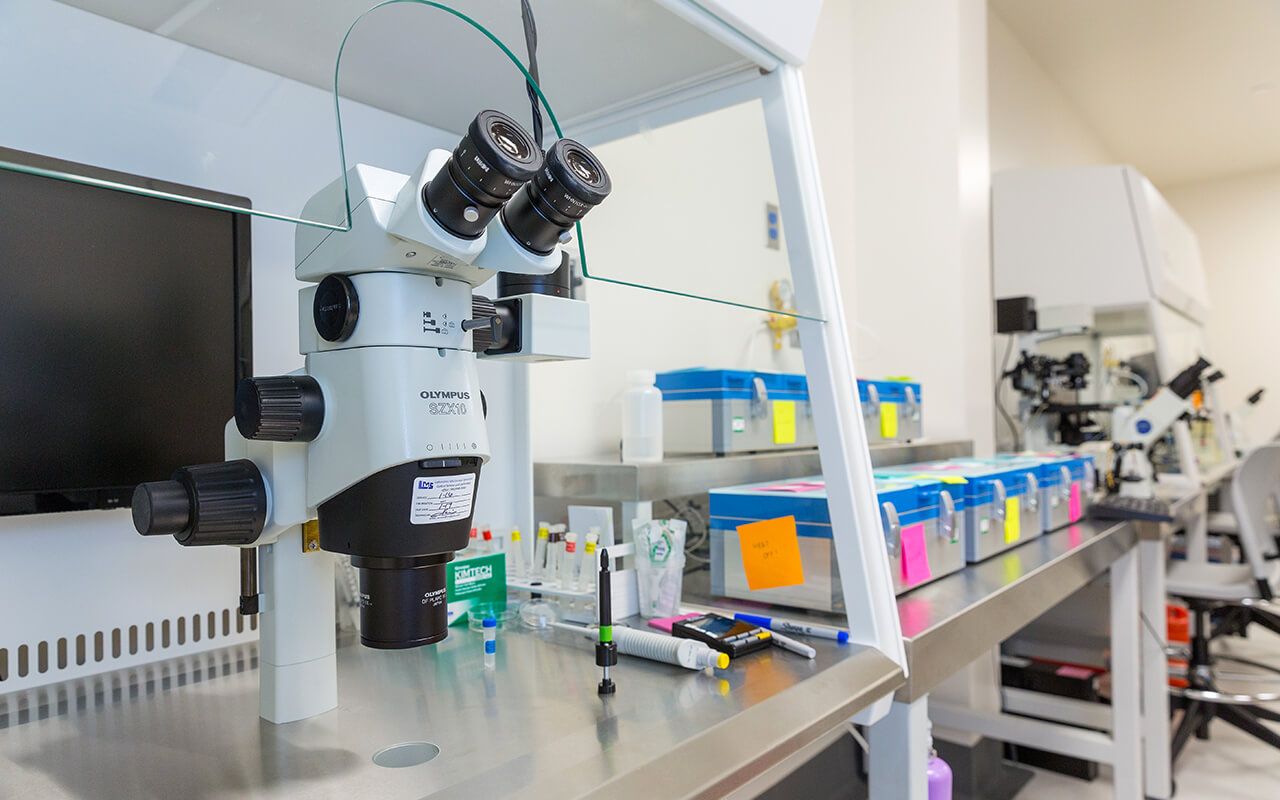 The Science Behind Egg Donation: What Happens in Your Body?