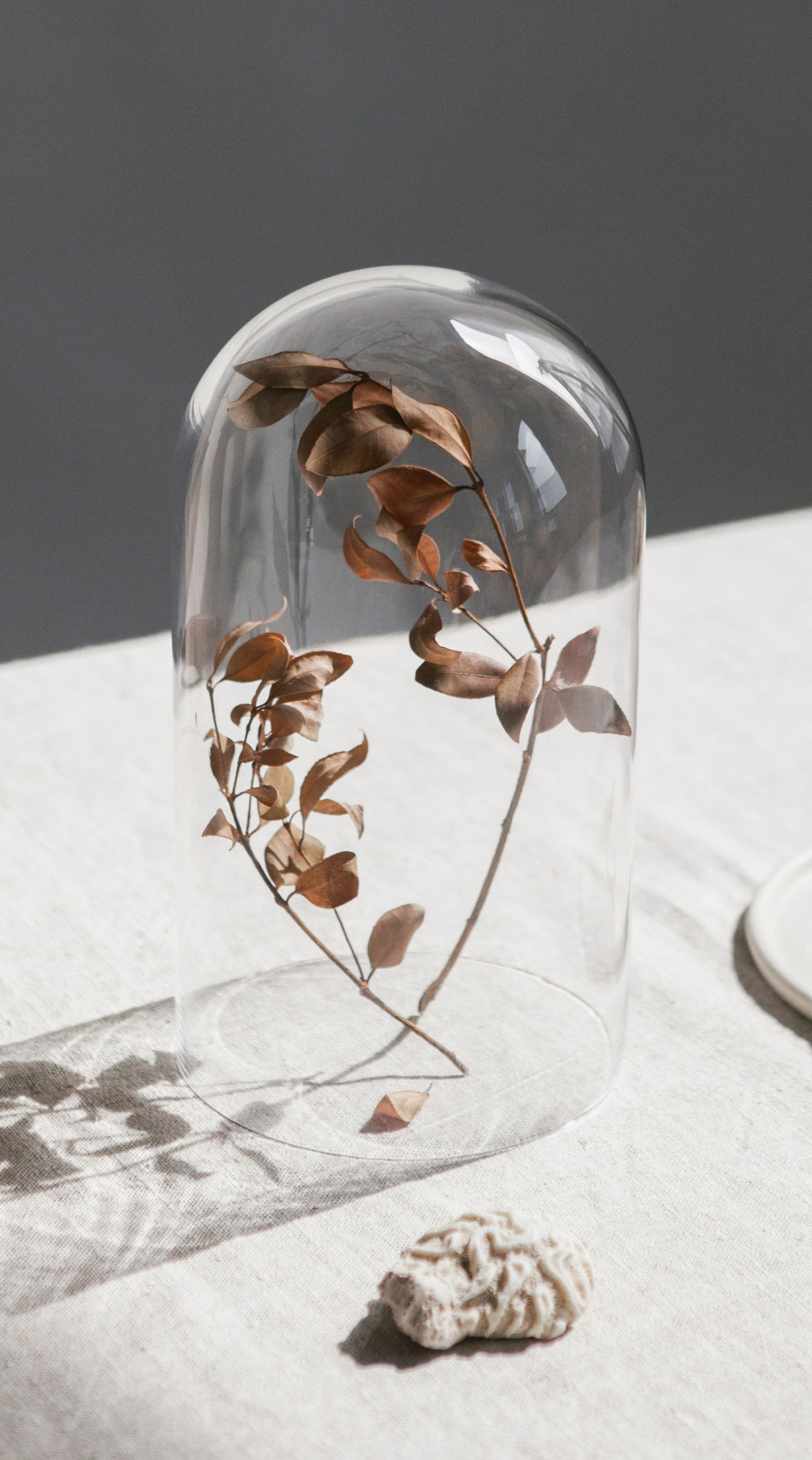 Gay & Lesbian Fertility Options | LGBT Fertility Clinic | Fertility ...