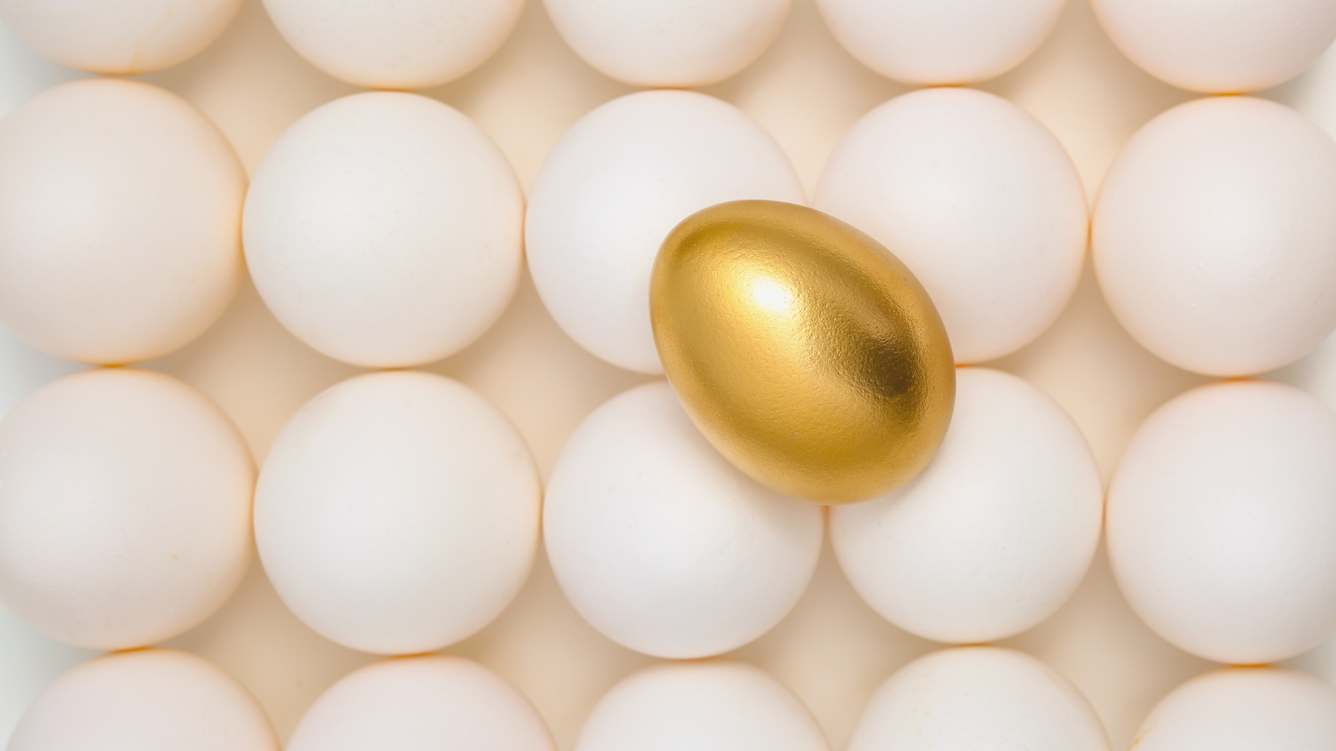 How to Improve Egg Quality