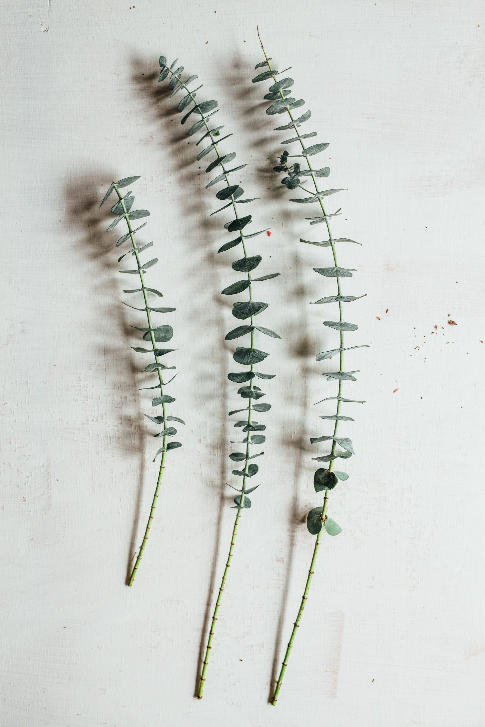 Geritol for Pregnancy