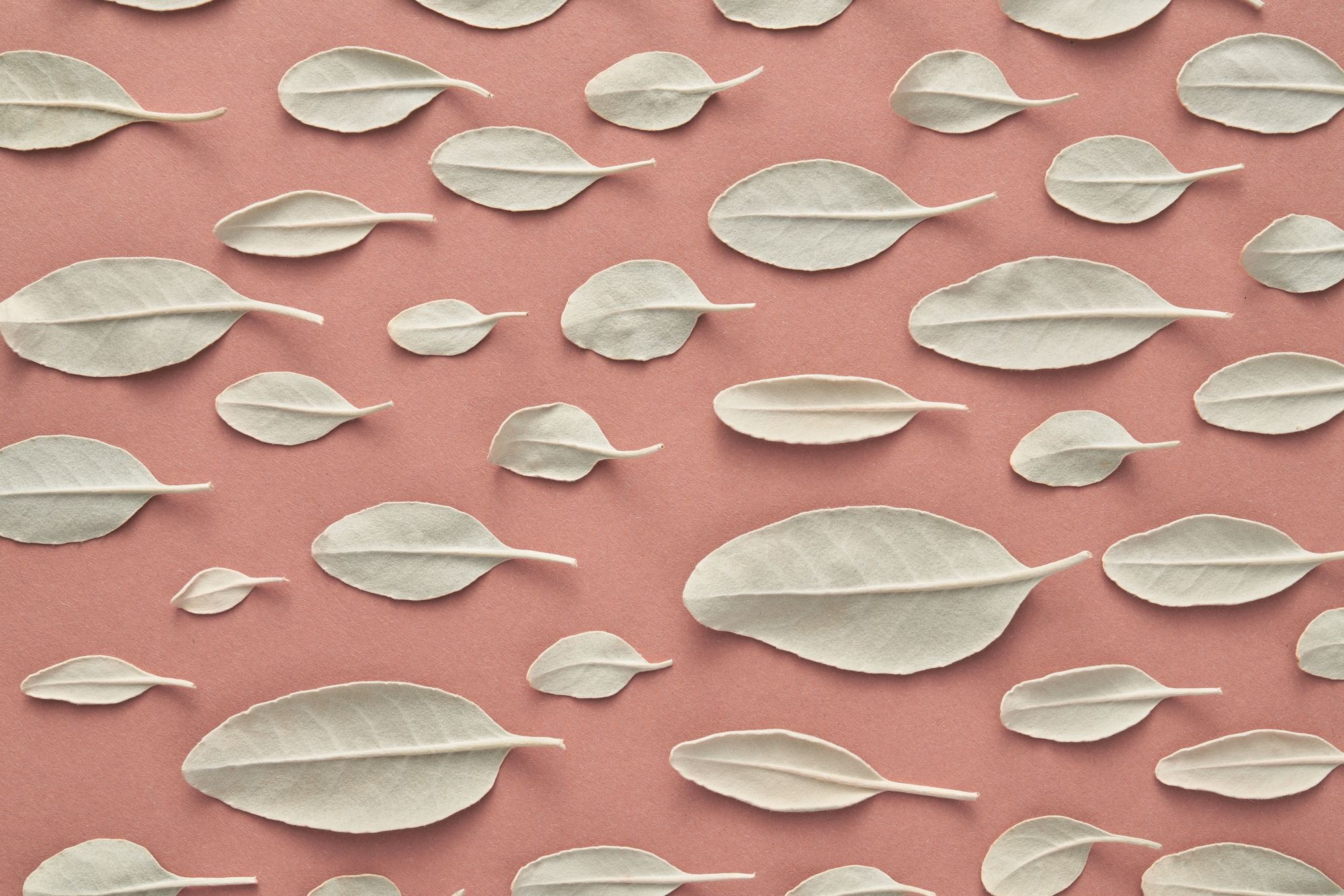 Sperm Retrieval Procedures: What You Need to Know About TESE, PESA, and Micro-TESE