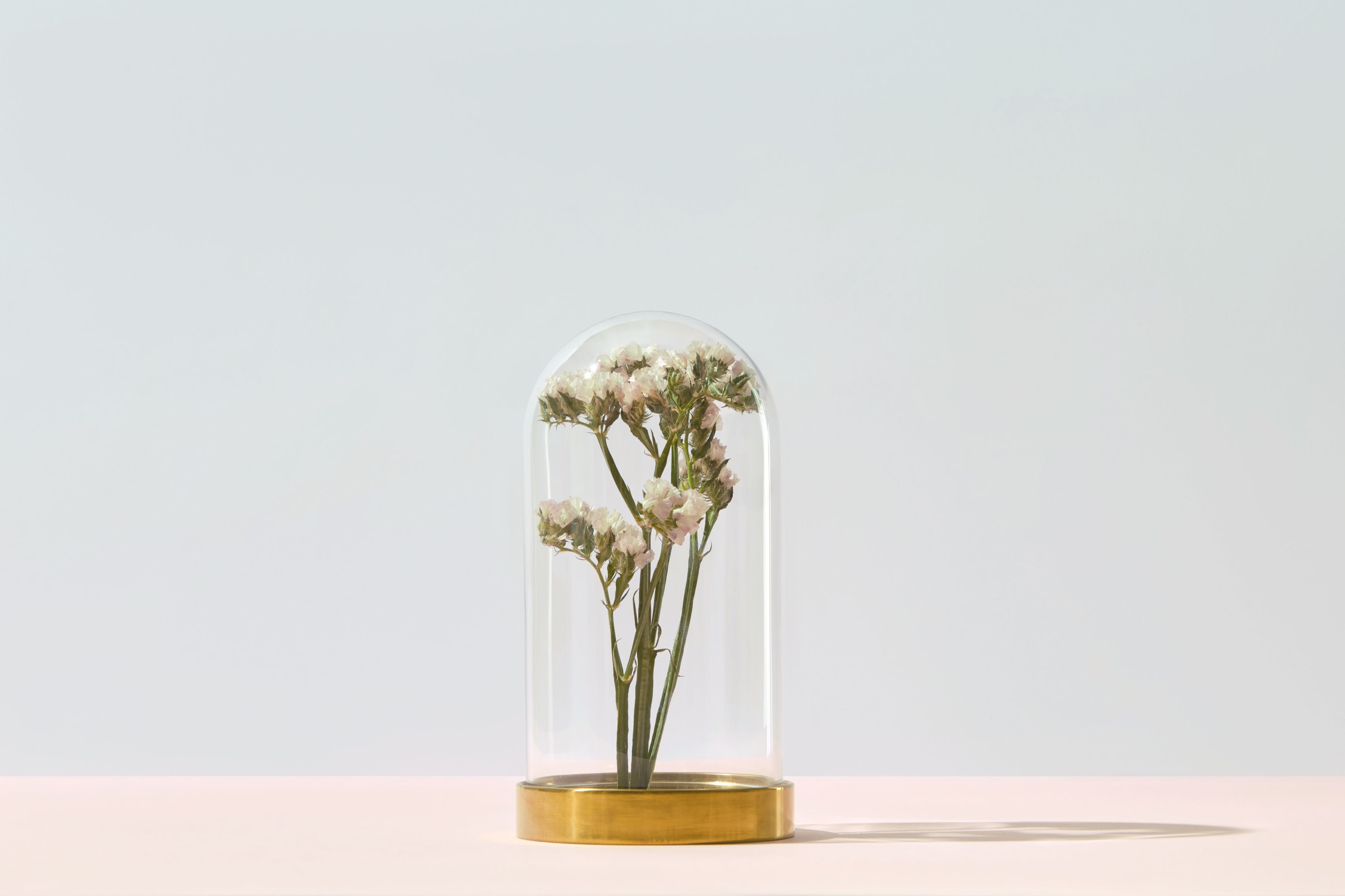 Flowers under glass dome