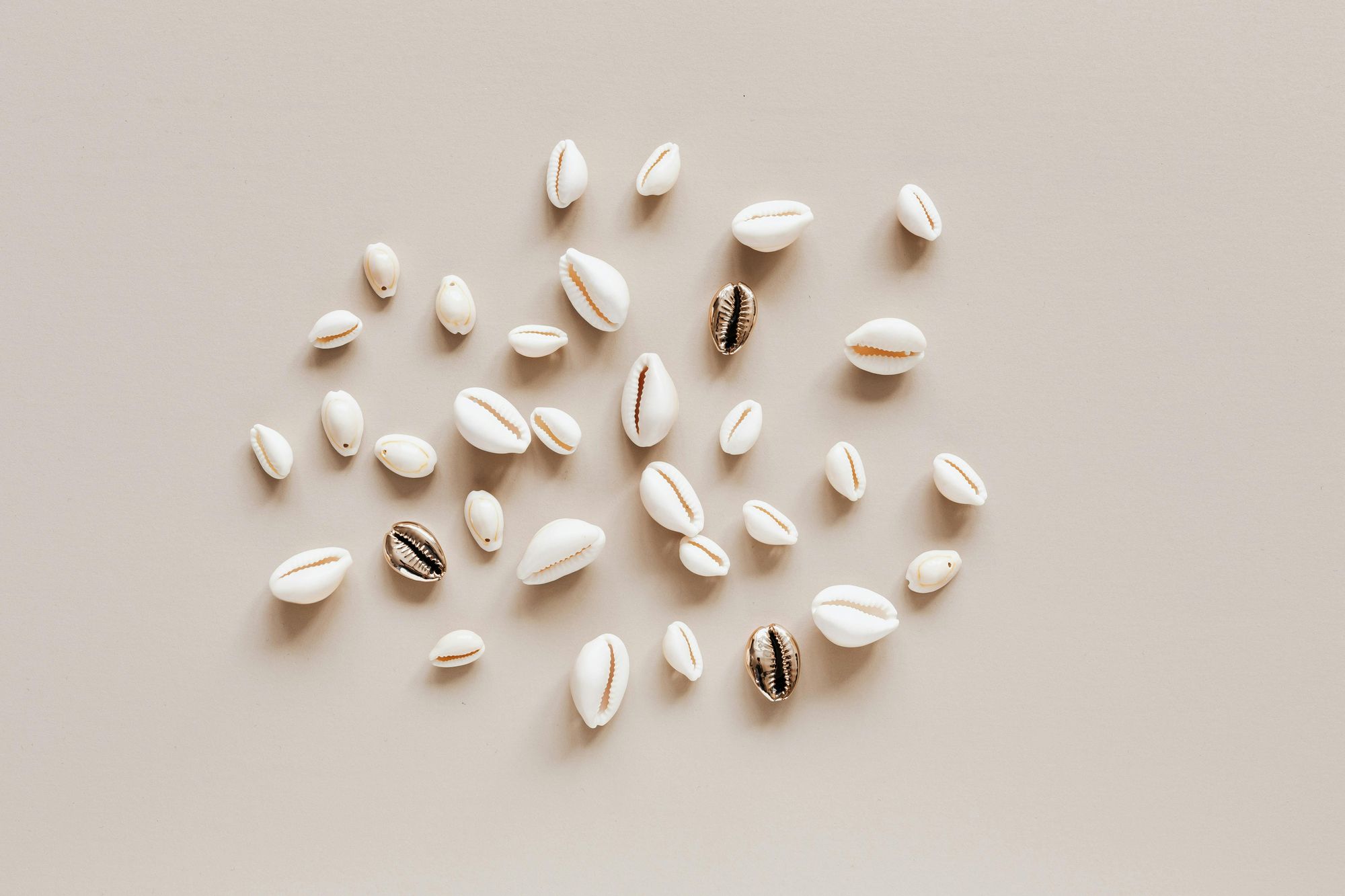 Fibroids and Fertility