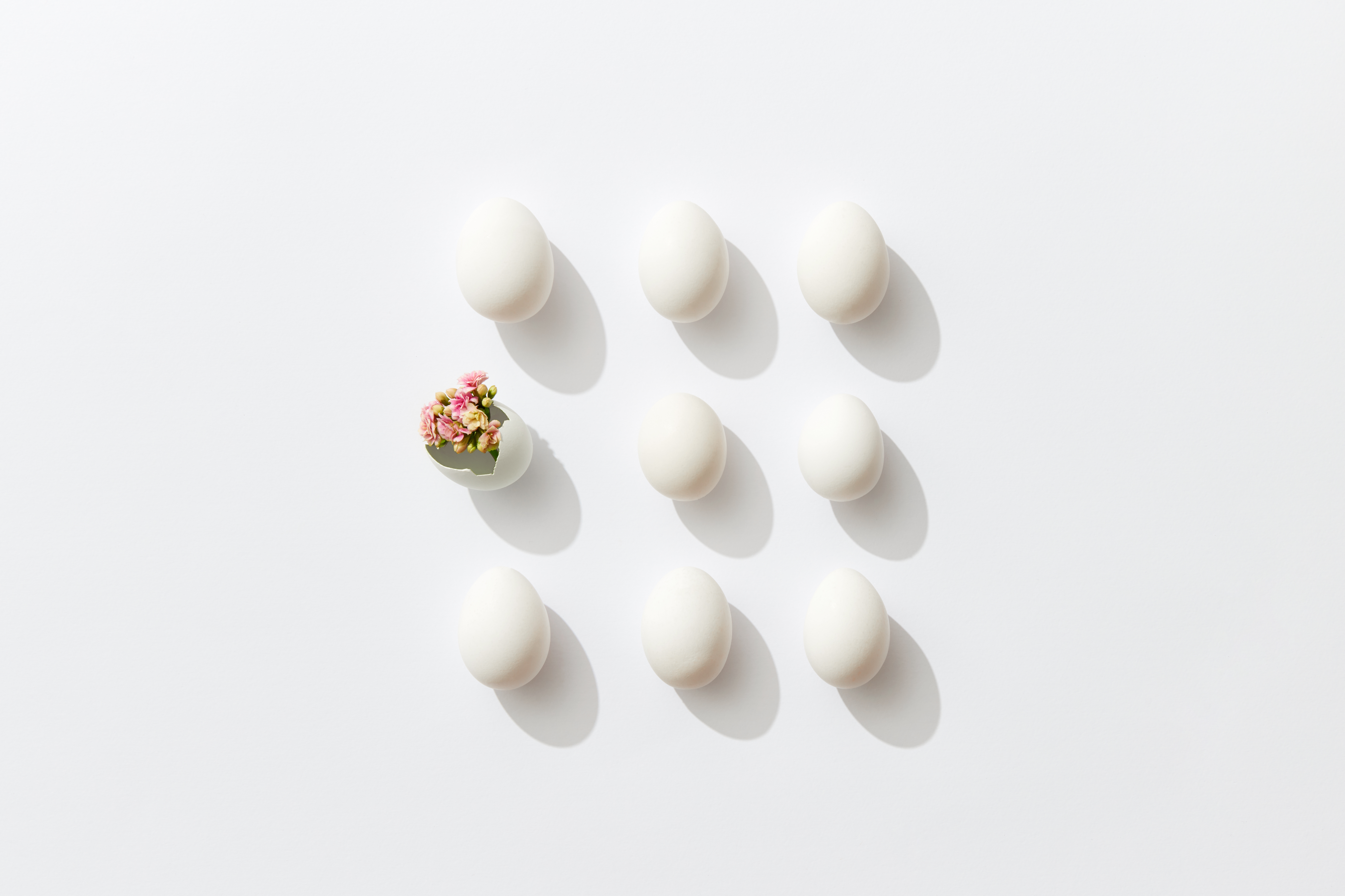 9 eggs in a grid, one with flowers coming out