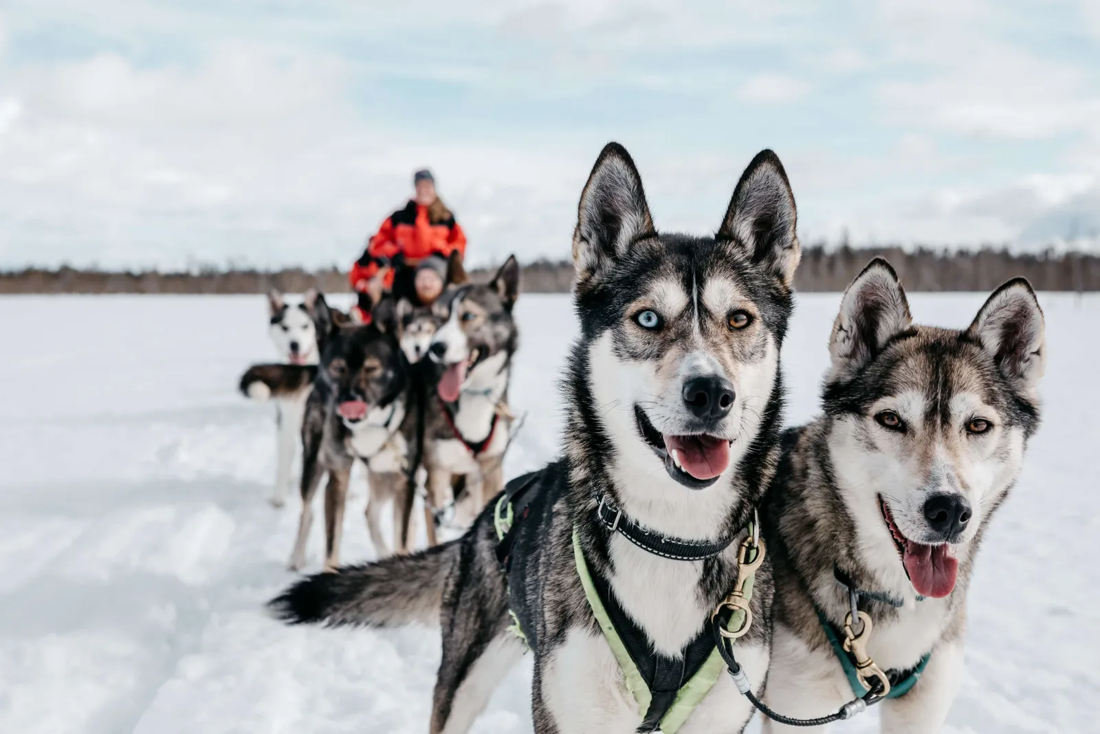 Finland - Lapland