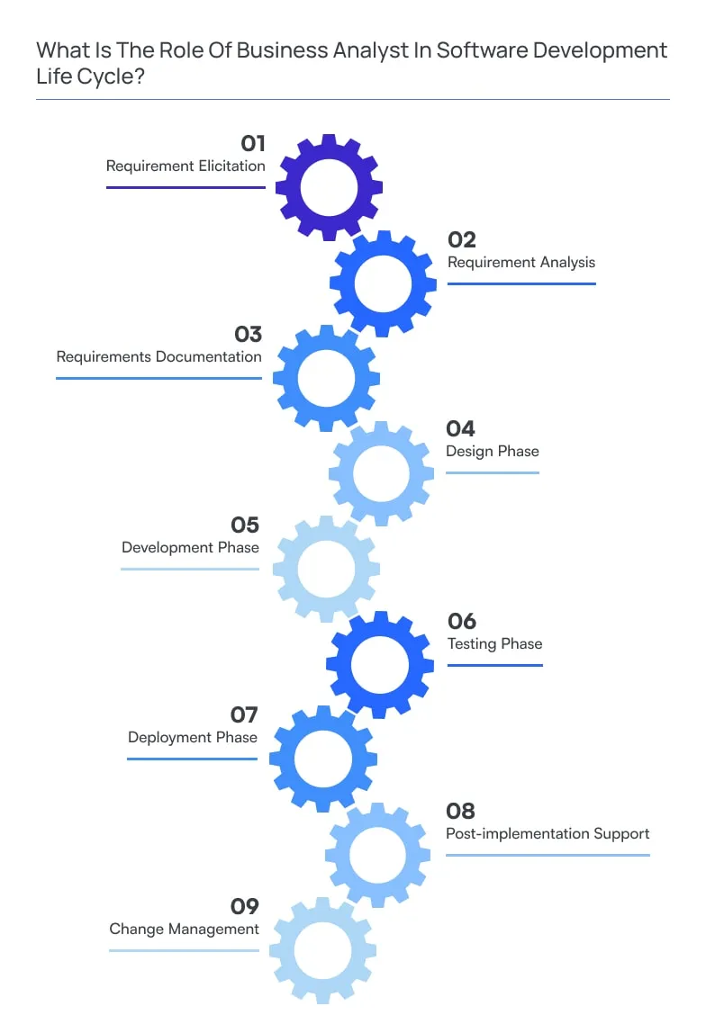What Is The Role Of Business Analyst In Software Development Life Cycle?