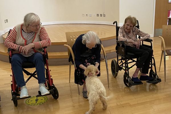 Three elderly women in a bright room. Two in wheelchairs watch as one woman bends to pet a small, fluffy dog.