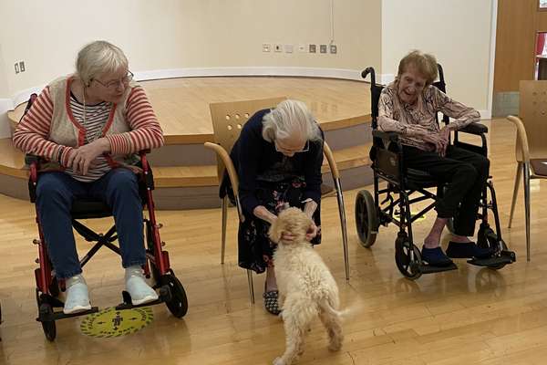 Three elderly women in a bright room. Two in wheelchairs watch as one woman bends to pet a small, fluffy dog.