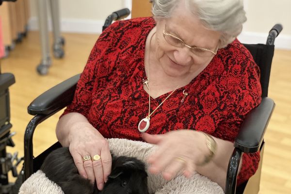 An elderly woman in a wheelchair smiles while gently petting a black guinea pig resting on a fuzzy blanket in her lap.