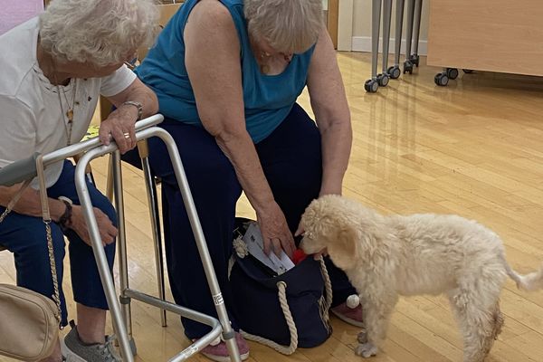Two older women on a wooden floor, one leaning on a walker. The other woman reaches into a bag as a fluffy puppy investigates
