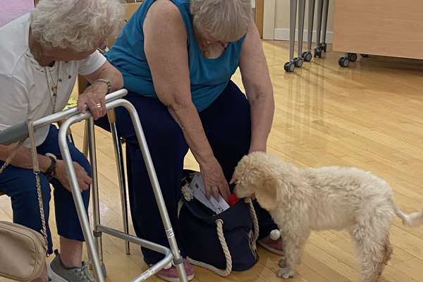Two older women on a wooden floor, one leaning on a walker. The other woman reaches into a bag as a fluffy puppy investigates