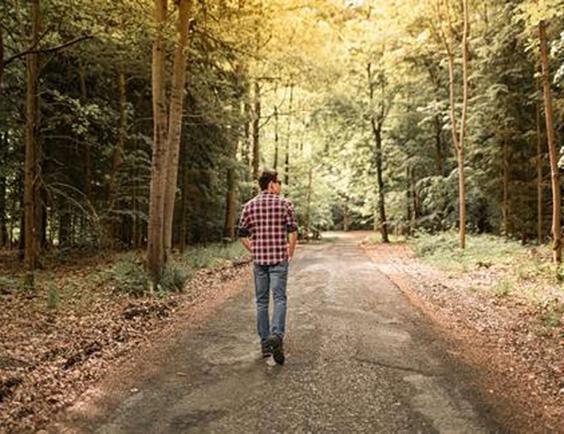 Person walking along a tree-lined path in a sunlit forest, wearing a plaid shirt and jeans.