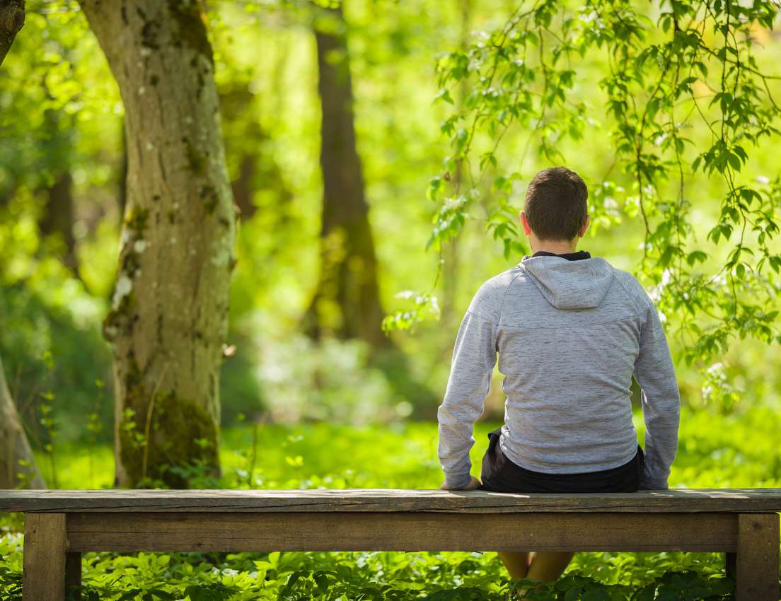 A person in a gray hoodie sits on a wooden bench, looking into a bright, lush green forest with blurred trees and foliage.