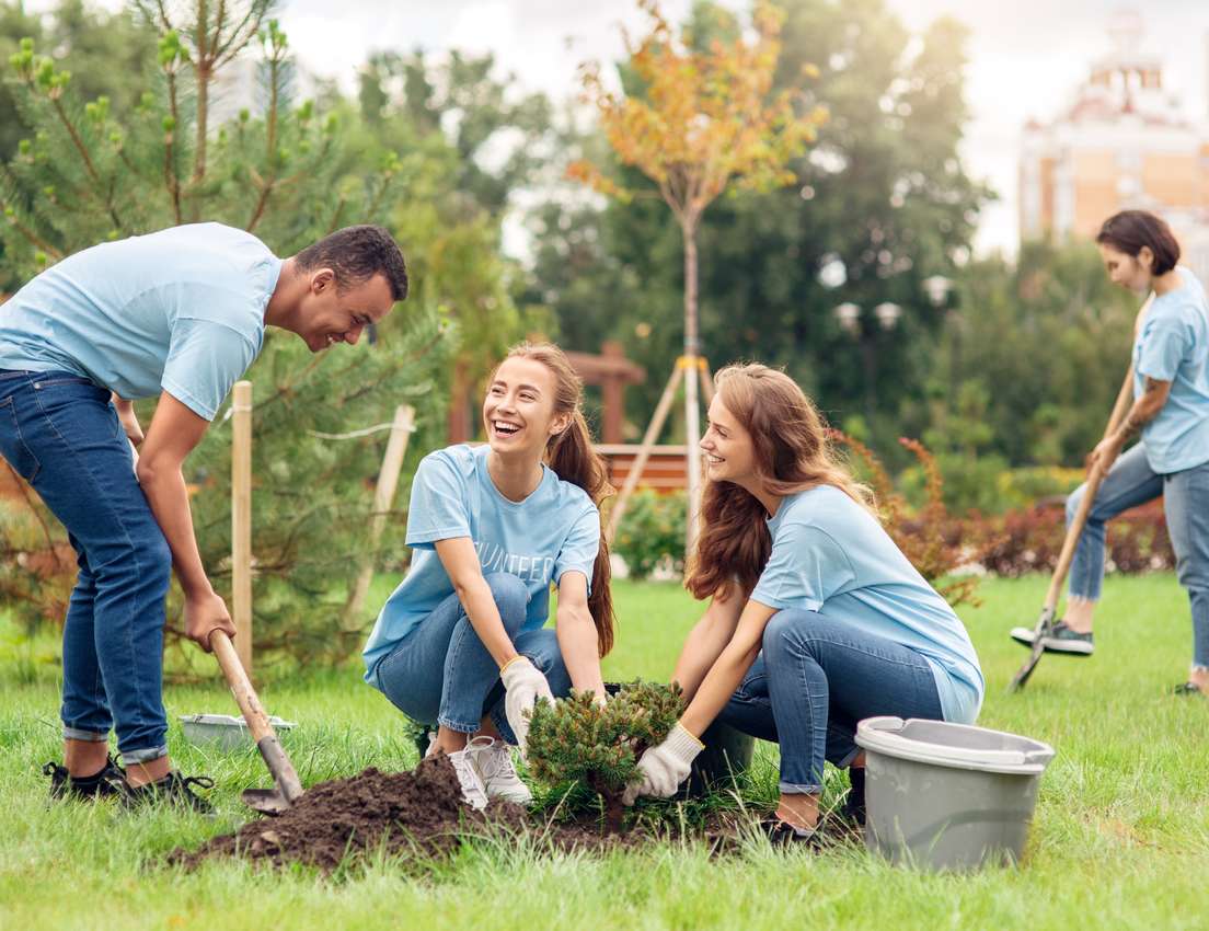 Four smiling volunteers in blue shirts plant trees in a sunny park. A man digs, two women plant a shrub, another woman digs n